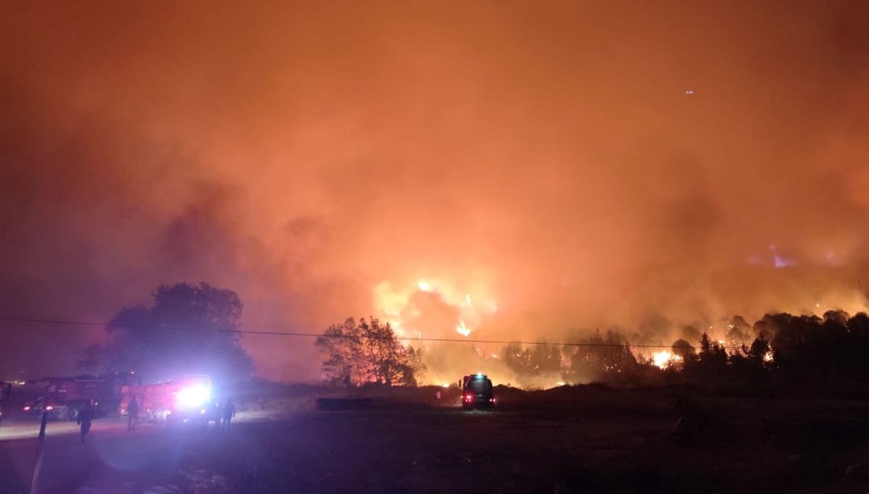 bursada orman yangini YU7ee8CW