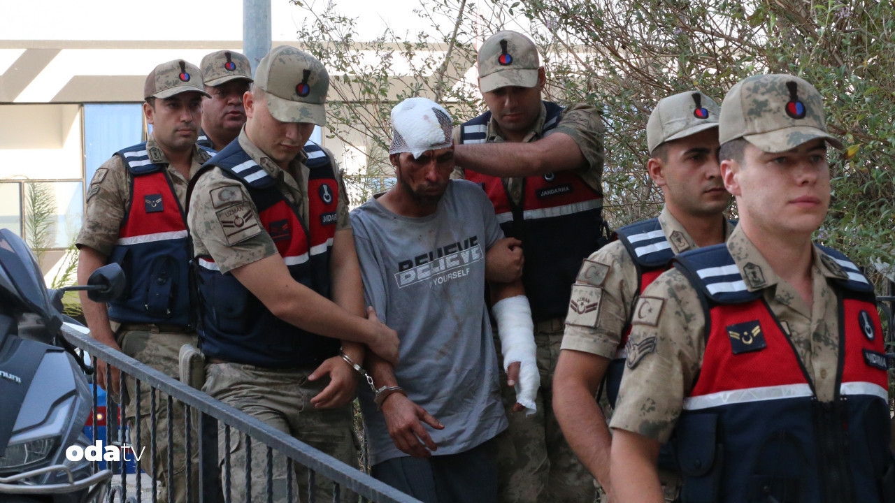 portakal bahcesinde 150 bin cinayeti iz kopegi yakaladi t3X5eEDs