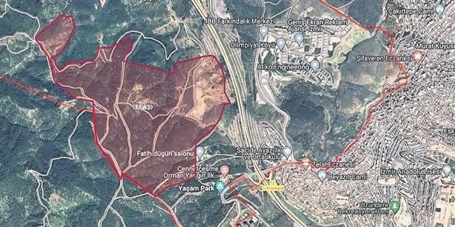 arsa magdurlarina tapu mujdesi WVcfIU1F.jpg