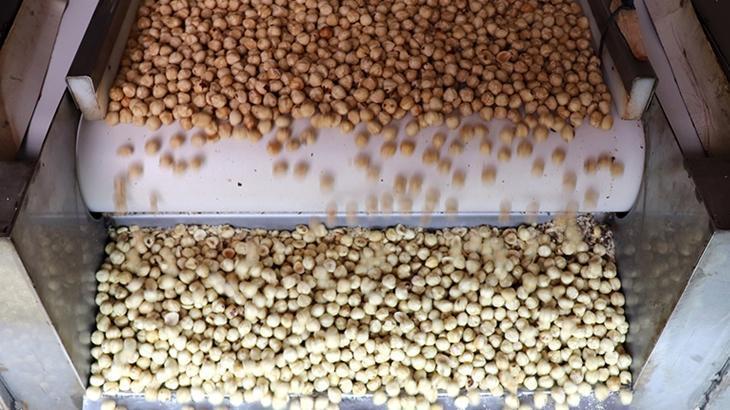 findik ihracatindan 16 milyar dolari askin gelir saglandi Su9sSOjT.jpg